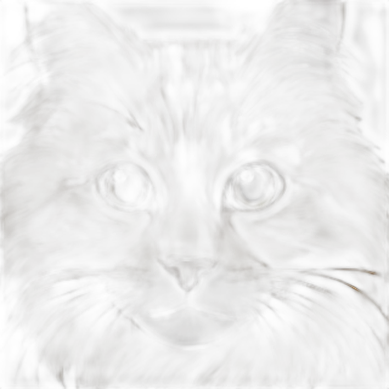 orange main coon emoji