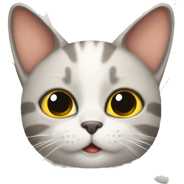 Cat on an airplane emoji