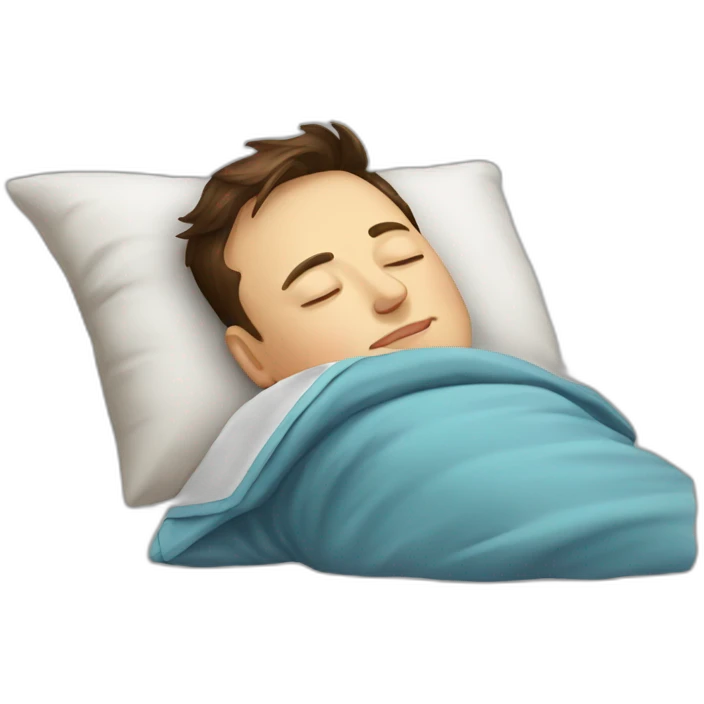 Elon musk sleeping emoji