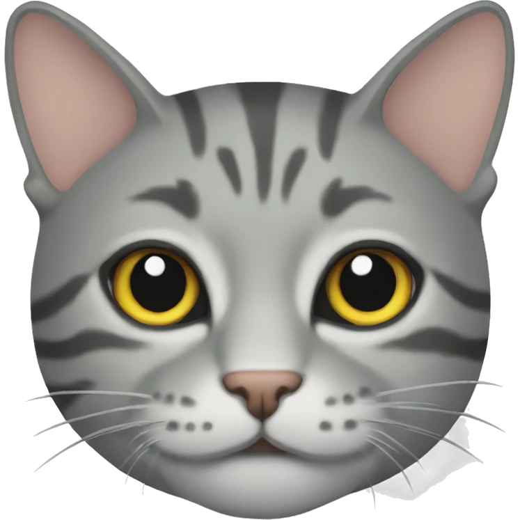 Grey tabby cat emoji