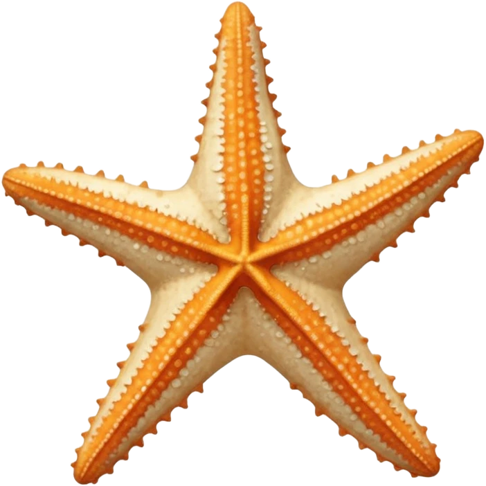 off white dried star fish emoji
