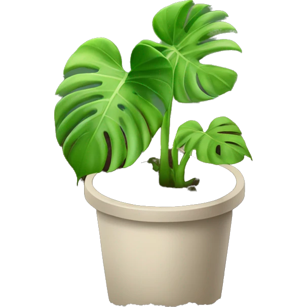 A monstera plant in soil with no pot emoji