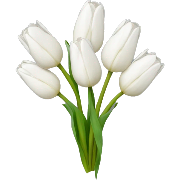 white tulip bouquet  emoji
