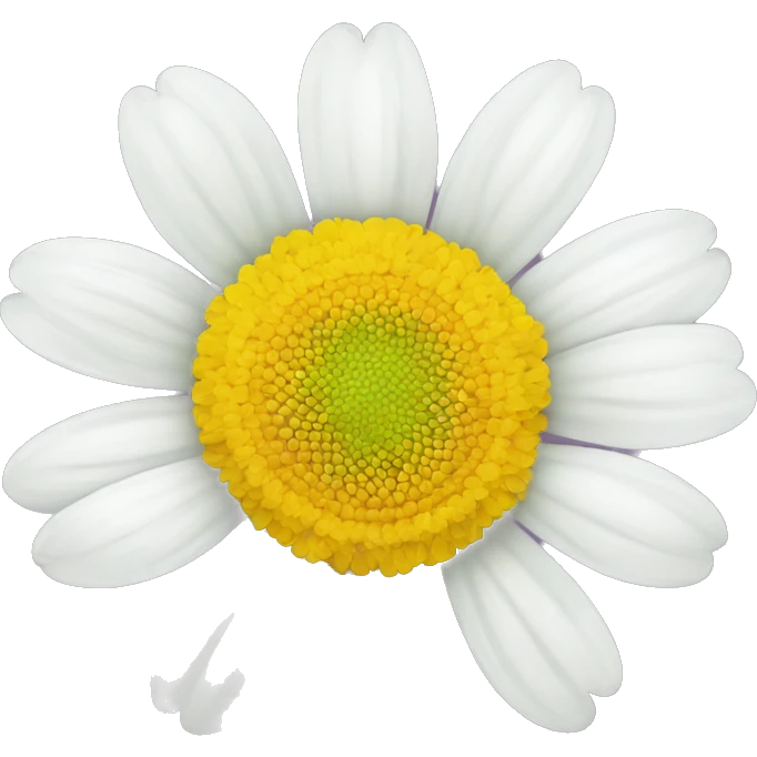 CHAMOMILE FLOWER emoji