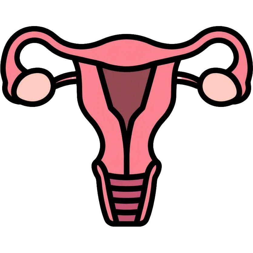 simple medical diagram of male reproductive anatomy, tasteful, anatomical emoji