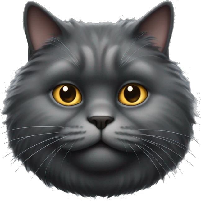 realistic fat dark grey fluffy cat with a small face emoji