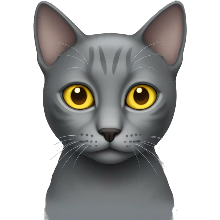 gray cat with yellow eyes emoji