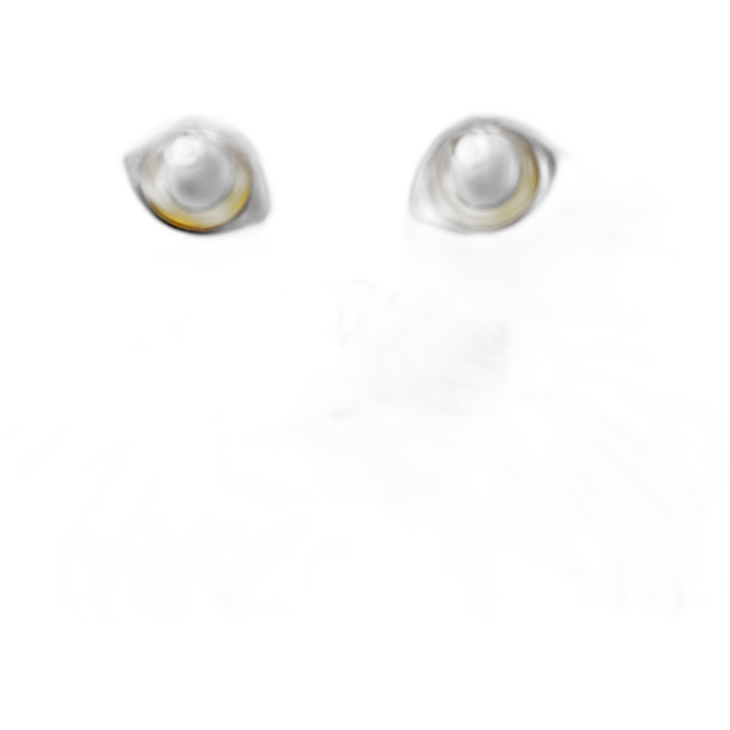 Persian cat emoji