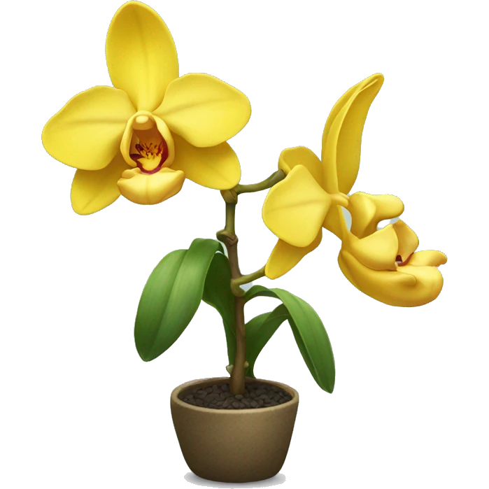 Yellow orchid plant emoji