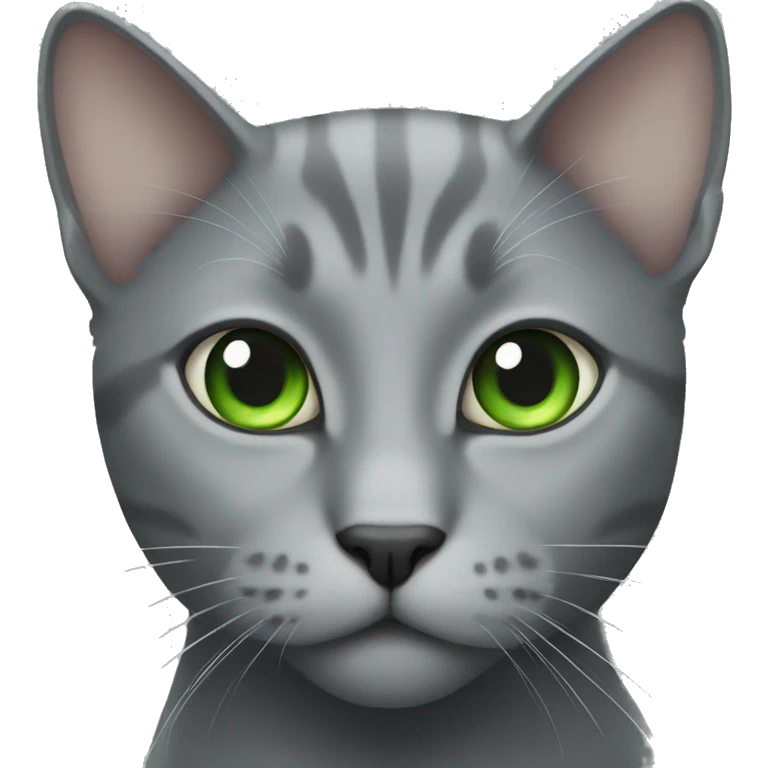 grey cat green eyes  emoji