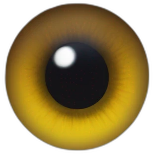 A human iris emoji
