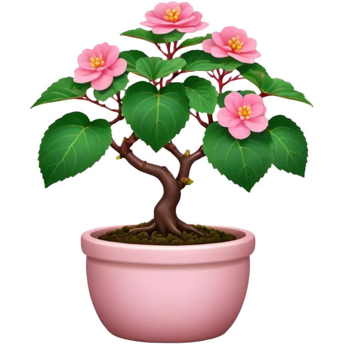 Begonia bonsai emoji