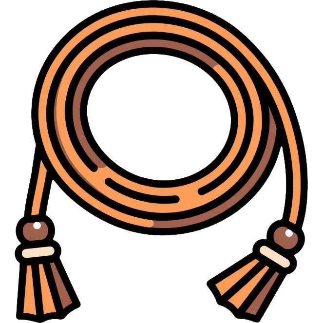 lasso rope, western style lasso emoji