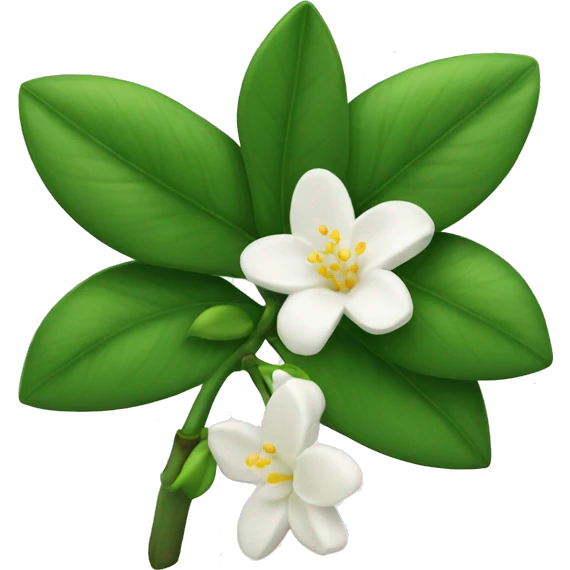 Jasmine flower emoji
