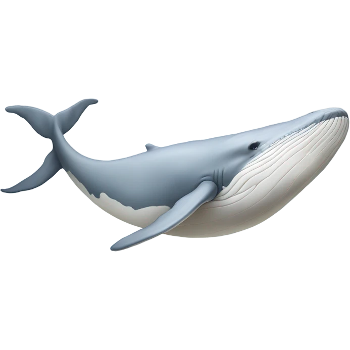 white whale , underside emoji