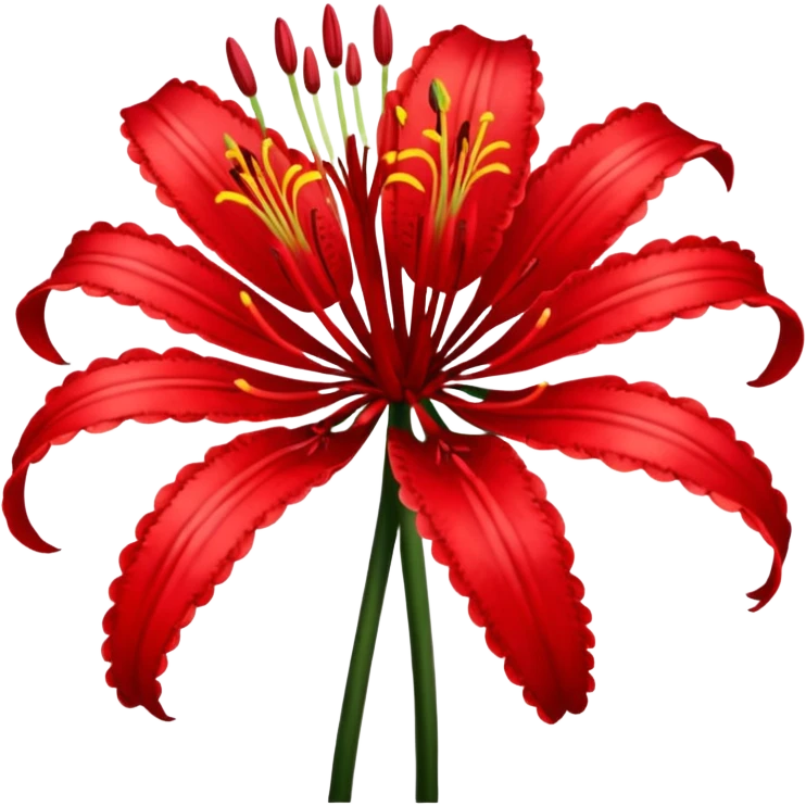 Lycoris Radiata red spider lily flower close-up emoji