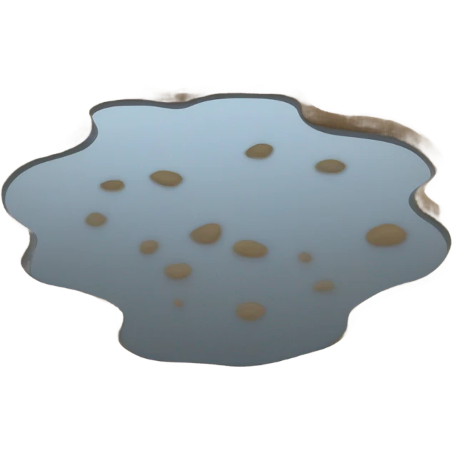 puddle emoji