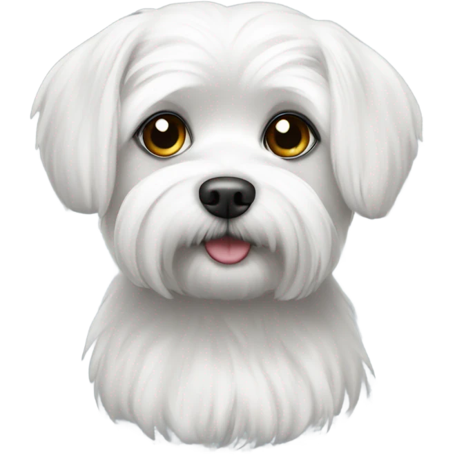 Maltese black and white emoji