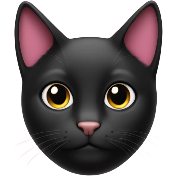 a black cat with a pink coat emoji