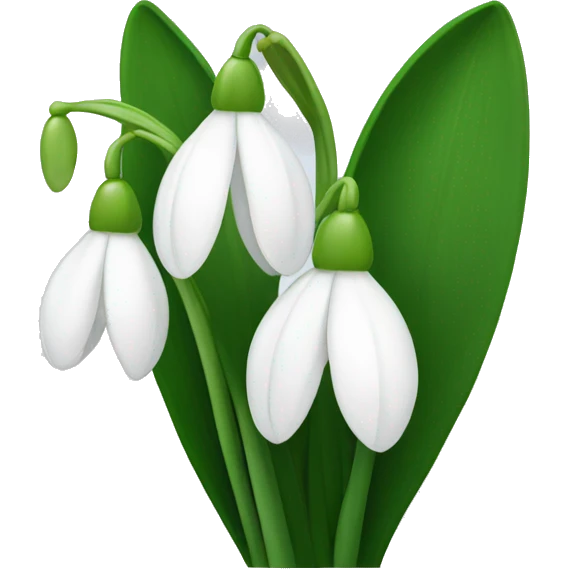 Snowdrop flowers emoji