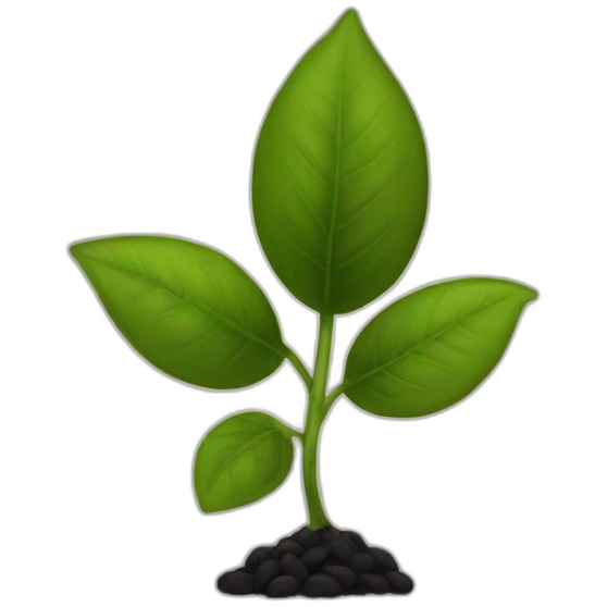 Black seed emoji