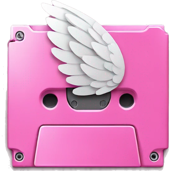 pink floppy disk with angel wing emoji