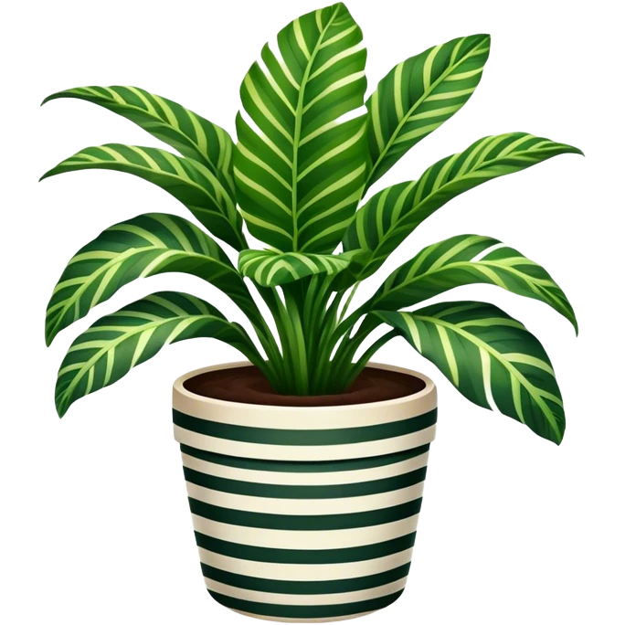potted house plant, calathea zebrina emoji