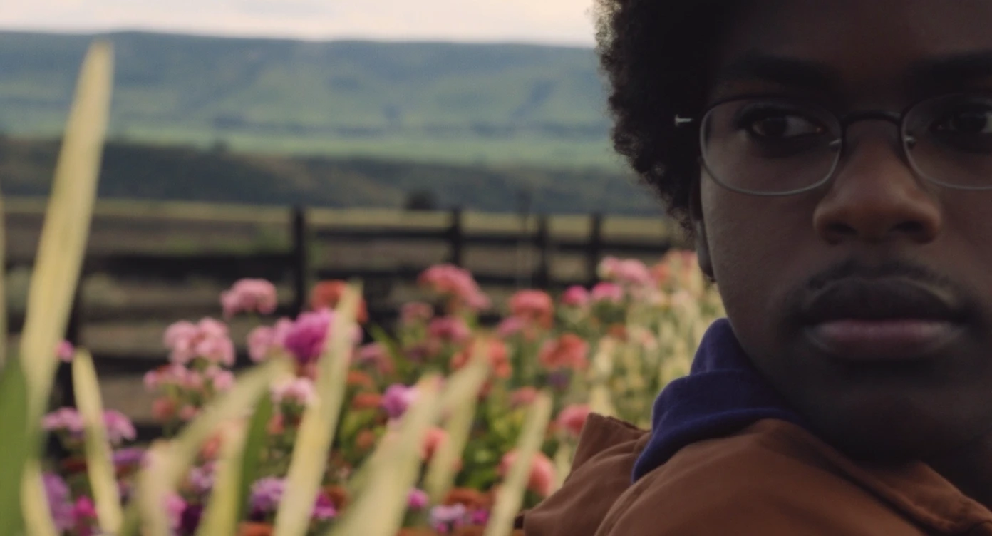 A portrait of a person in the foreground, blurred plants in the foreground (close to the camera), a wooden fence and colorfull flowers in the midground, rolling hills in the background, cinematic depth of field, layered composition, natural lighting emoji