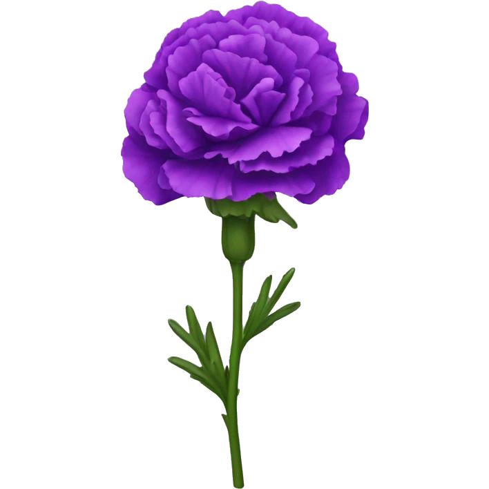 Purple carnation  emoji