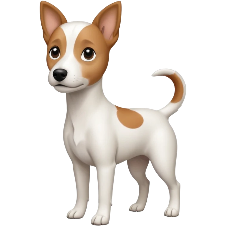 a fully white jack russell the size of a kelpie with floppy ears and a half white face emoji