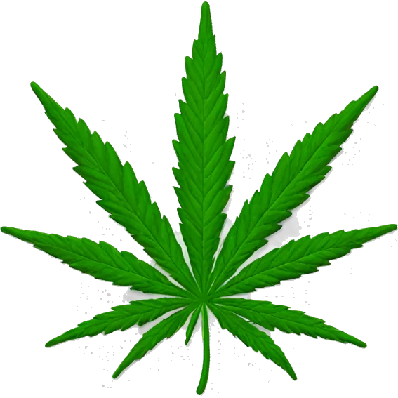 Marijuana leaf emoji