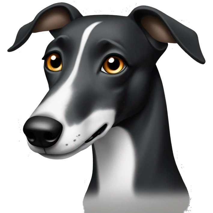 Black and white greyhound with brown eyes and half her face black  emoji