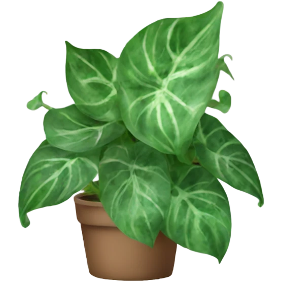 Pothos plant marbled leaves  emoji