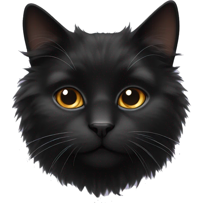 Black fluffy cat white nose  emoji