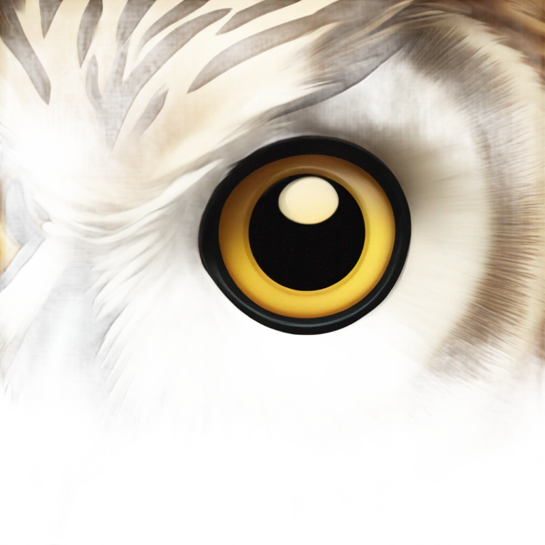 Owl  emoji
