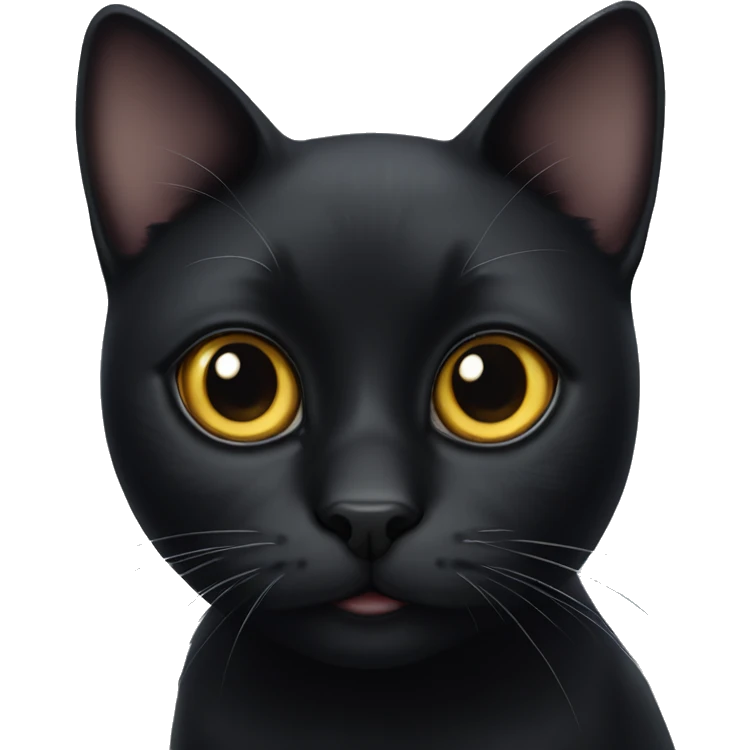 Black cat with big cute eyes emoji