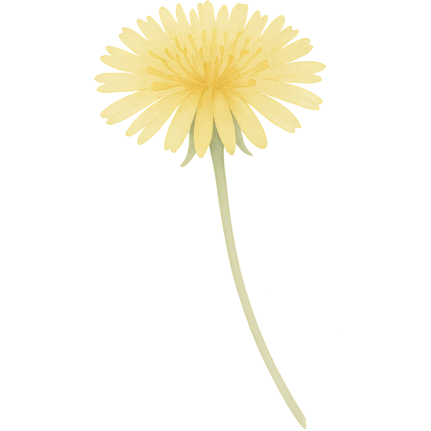 very detailed dandelion, delicate yellow petals, fine green stem emoji