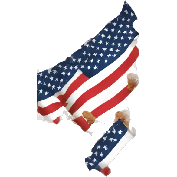 usa emoji