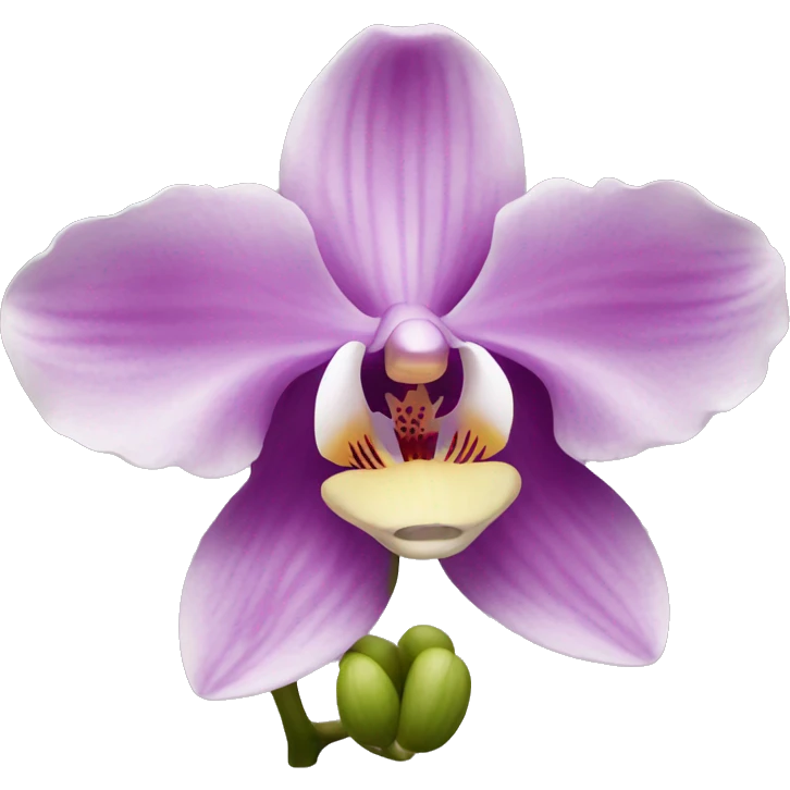 Flower orchid emoji