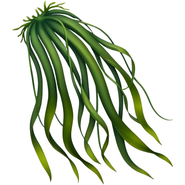 Kelp emoji