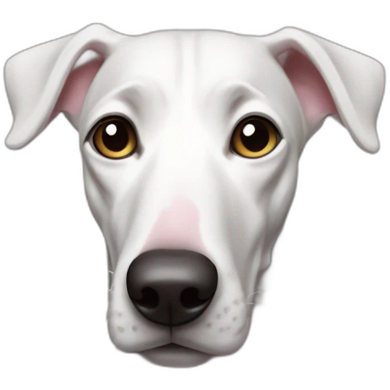 Dog galgo allí white anda pink noise emoji