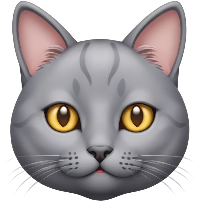cute grey cat emoji