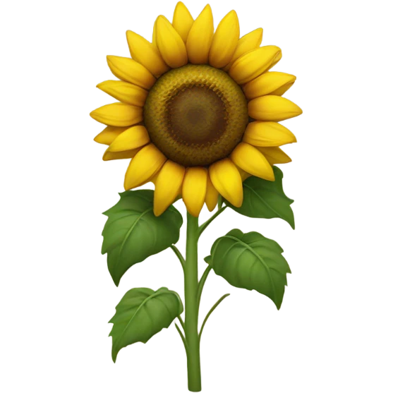 Sunflower  emoji