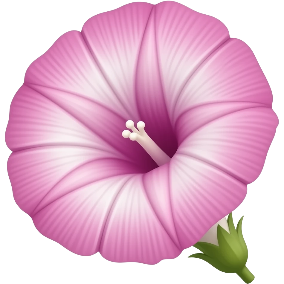 Morning glory flowers emoji