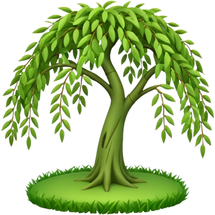 A 3D cartoon willow tree with drooping green branches over soft grass, natural sunlight, Memoji-style rendering. emoji