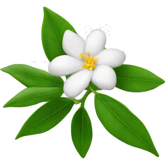 Jasmin flower tunisia  emoji