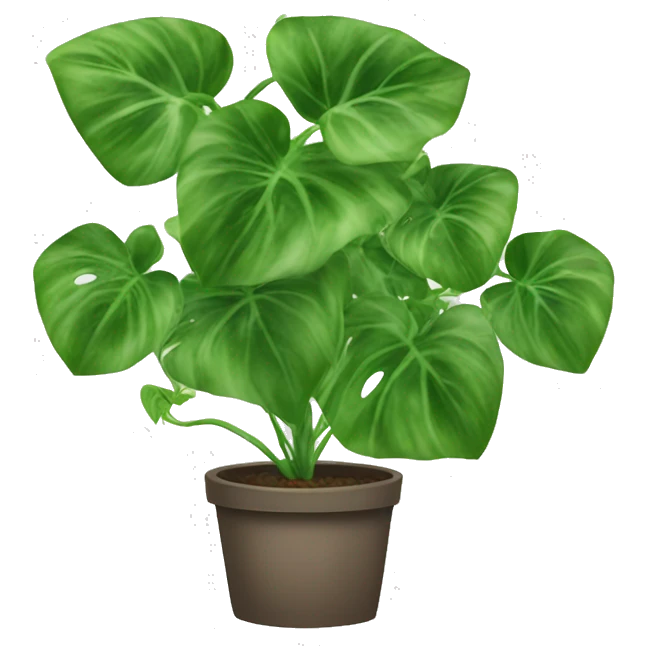 Pothos trailing plant emoji