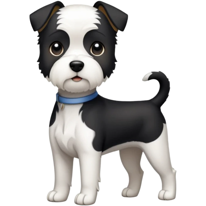 Full body photo of black and white terrier emoji