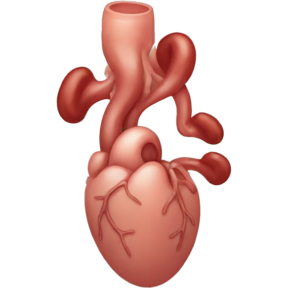 kidneys emoji