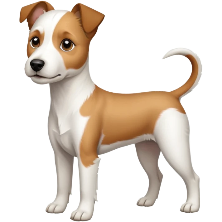 a full body white parson russell looking dog the size of a kelpie with light brown ears and a light brown patch on one eye and a large snout emoji
